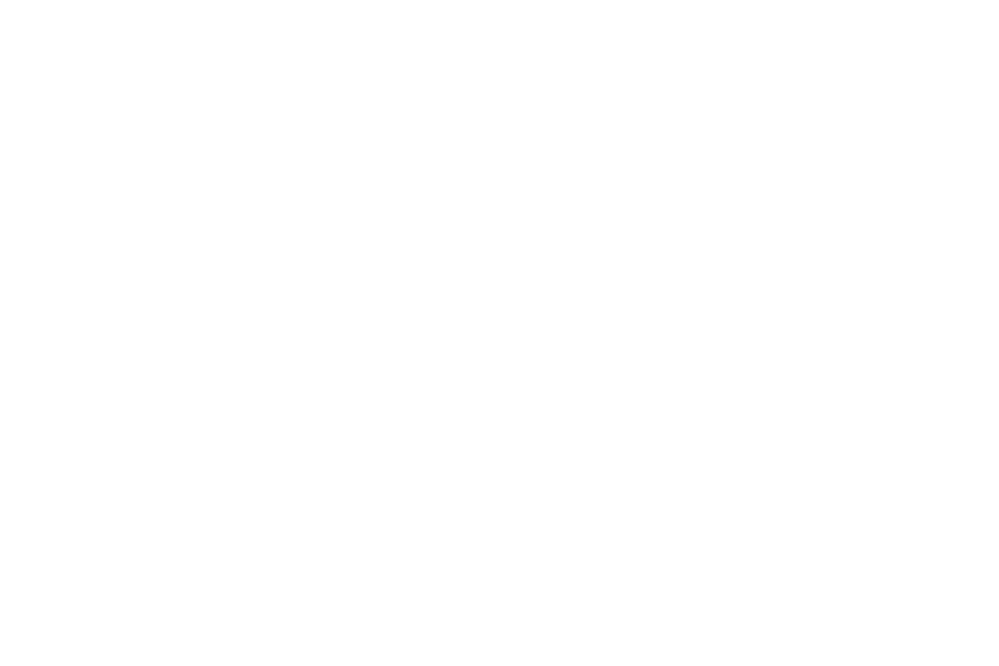 GRIFF Strategic Leadership